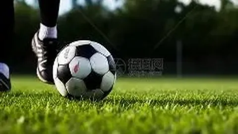 体重管理秘籍：我的高效运动之道